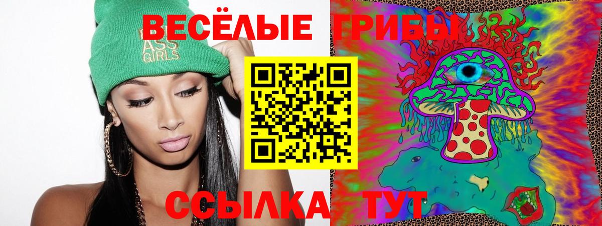 Майкоп  Псилоцибиновые грибы MAGIC MUSHROOMS  Вход с VPN 